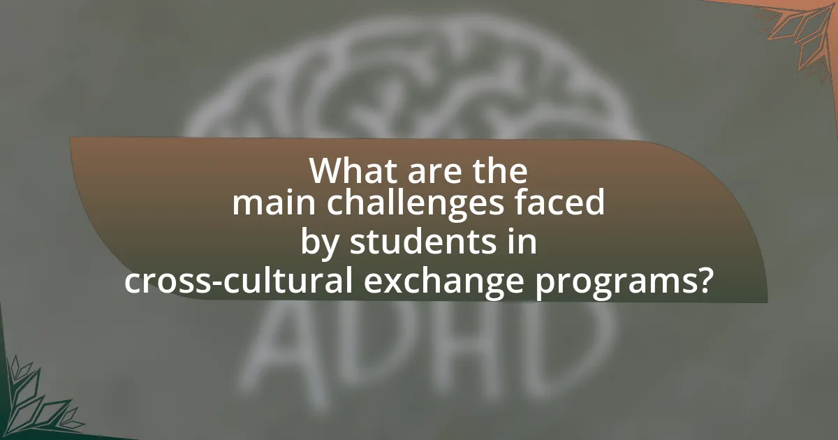 What are the main challenges faced by students in cross-cultural exchange programs?